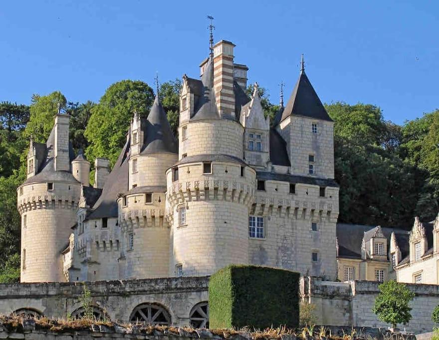 Gite Chalet-Piscine "Belle-Etoile" Touraine Anjou Courcelles-de-Touraine Kültér fotó