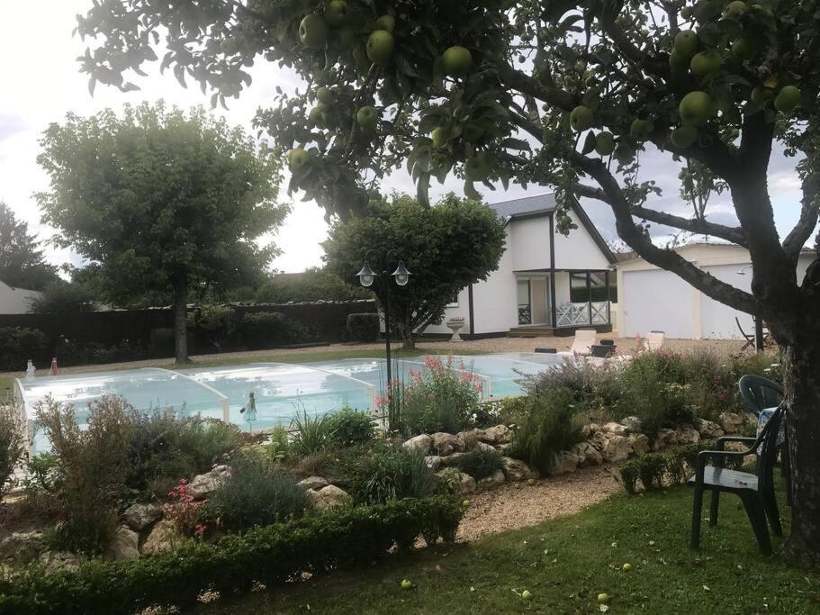 Gite Chalet-Piscine "Belle-Etoile" Touraine Anjou Courcelles-de-Touraine Kültér fotó