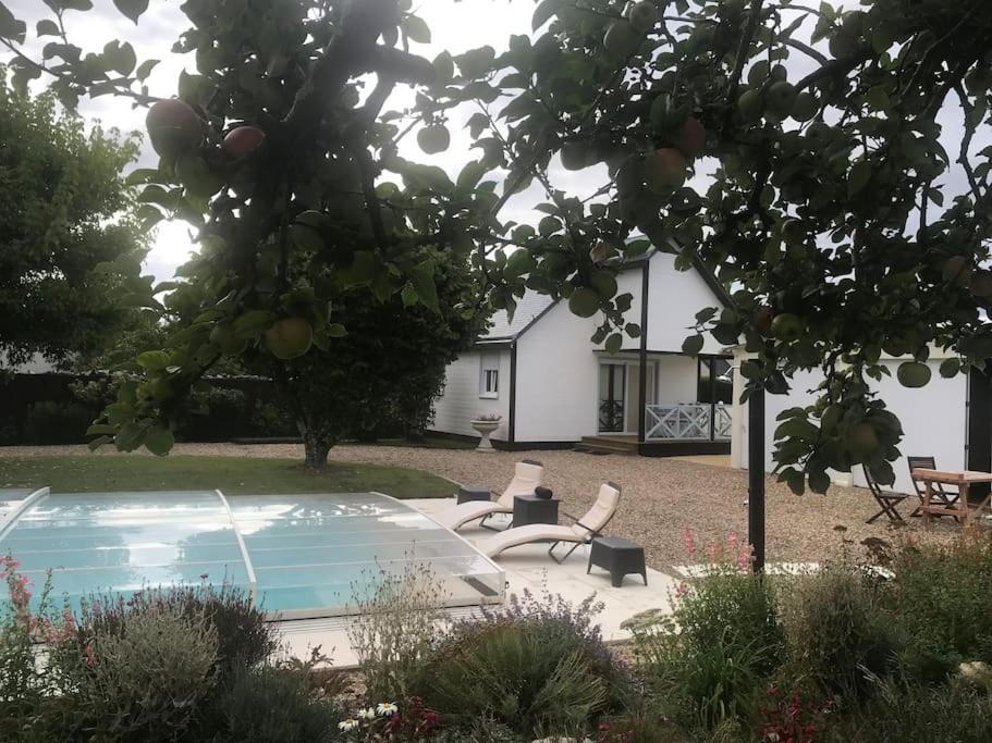 Gite Chalet-Piscine "Belle-Etoile" Touraine Anjou Courcelles-de-Touraine Kültér fotó